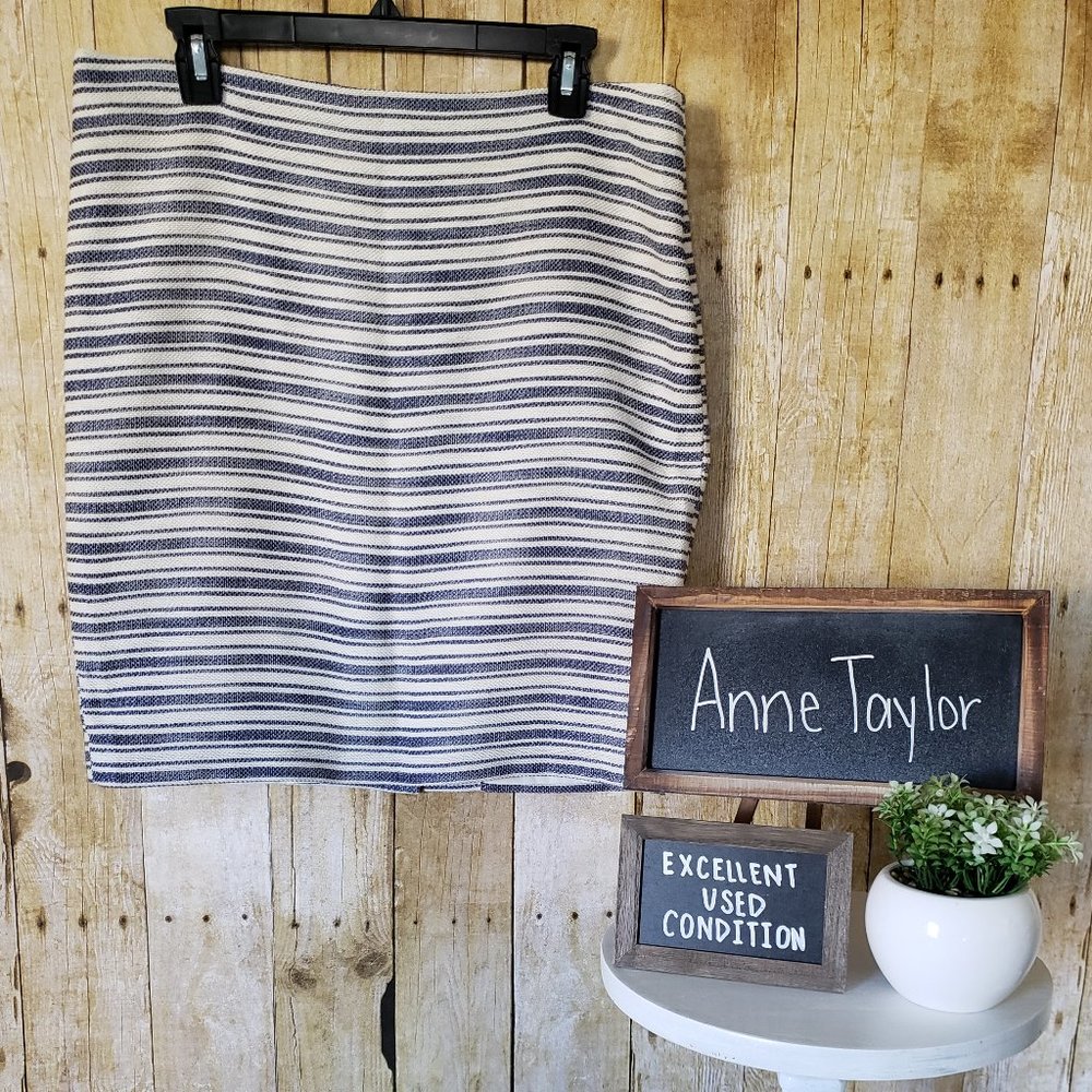 EUC + Ann Taylor + Skirt